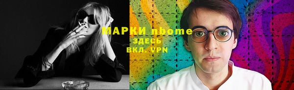 индика Нягань