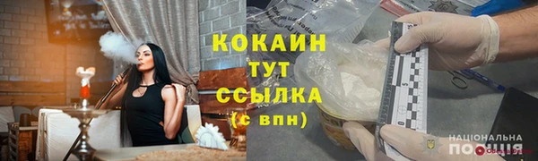 a pvp Алзамай