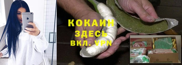 ешки Арсеньев