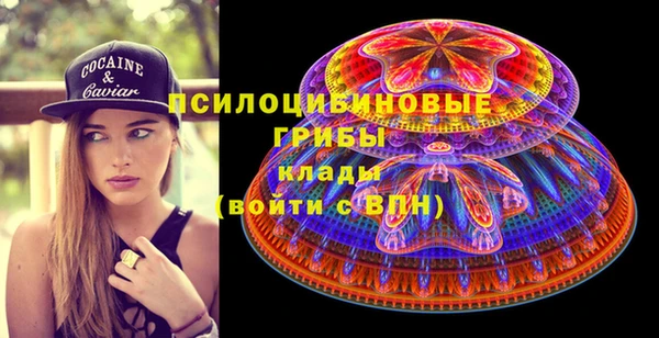 a pvp Алексин